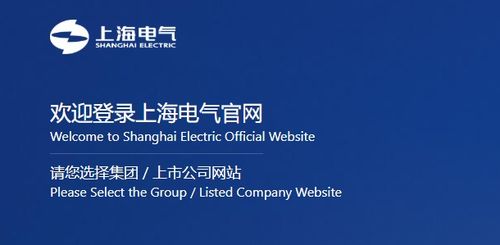 上海电气控股子公司暴雷,是否与广州浪奇相同模式,投资者该如何减损